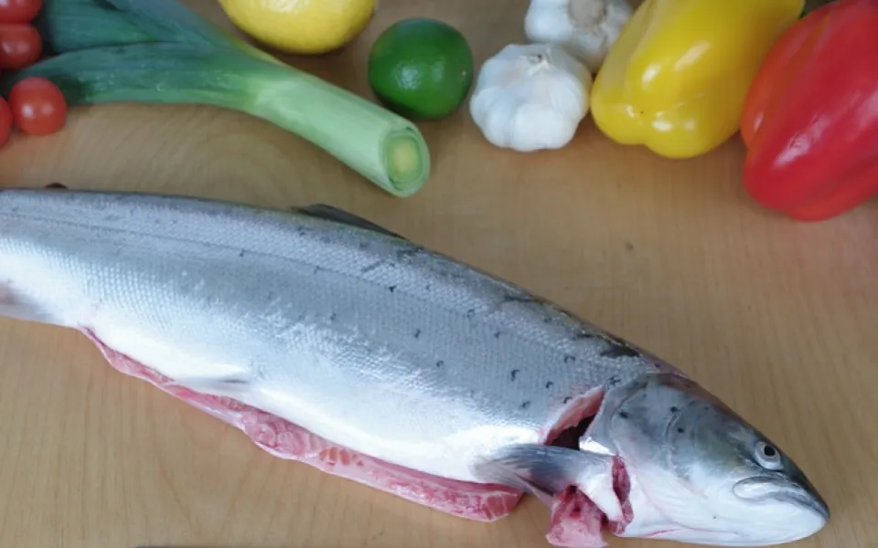 ganzer Lachs
