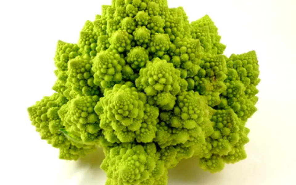 Romanesco