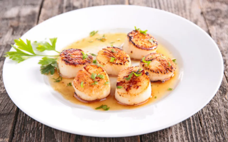 scallops