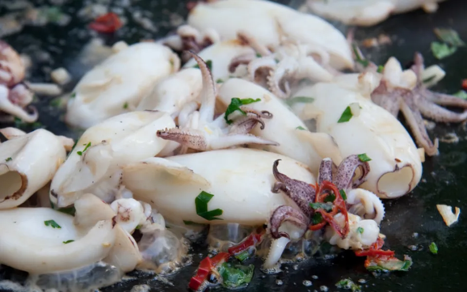Calamaretti
