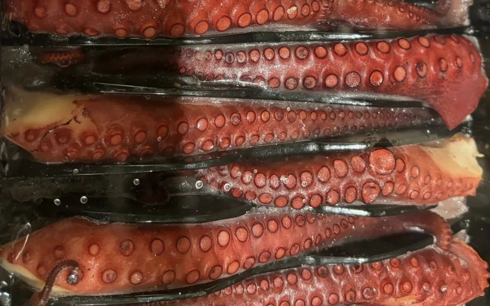 Pulpo