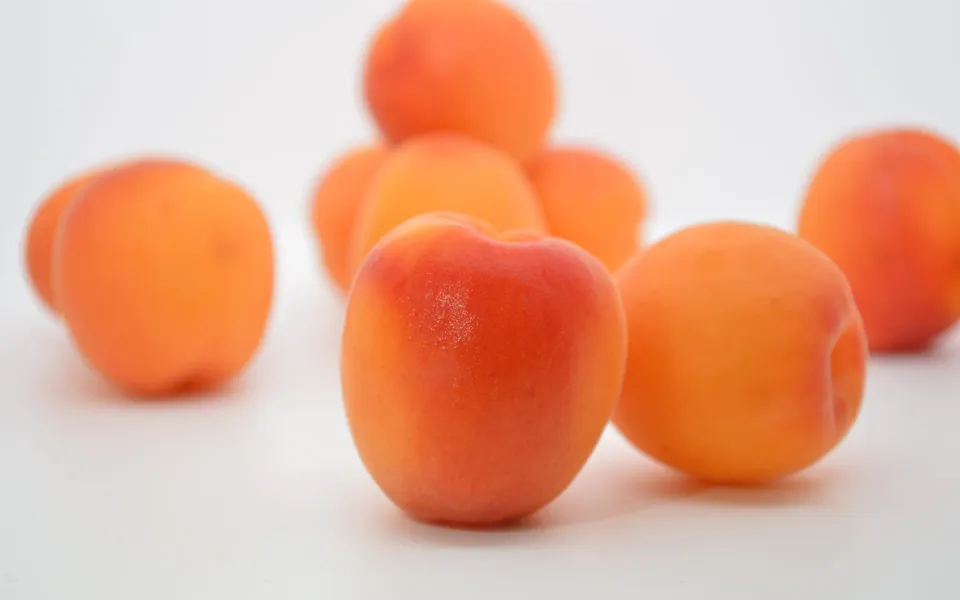 Aprikosen